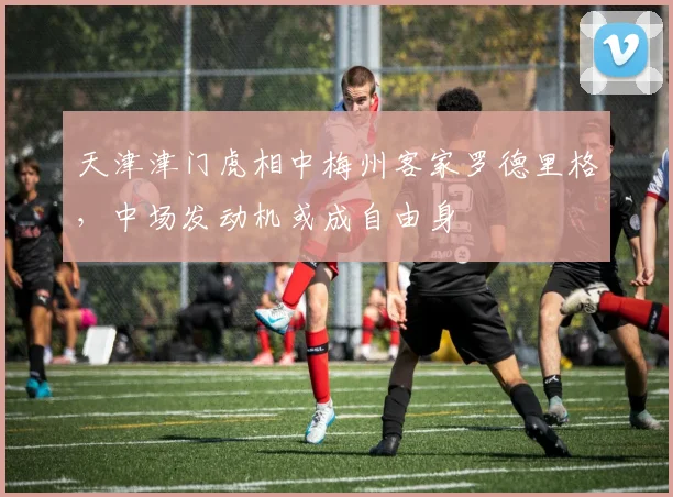 天津津门虎相中梅州客家罗德里格,中场发动机或成自由身